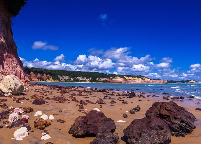 dolphins beach