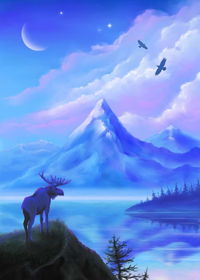 A Northern Moose