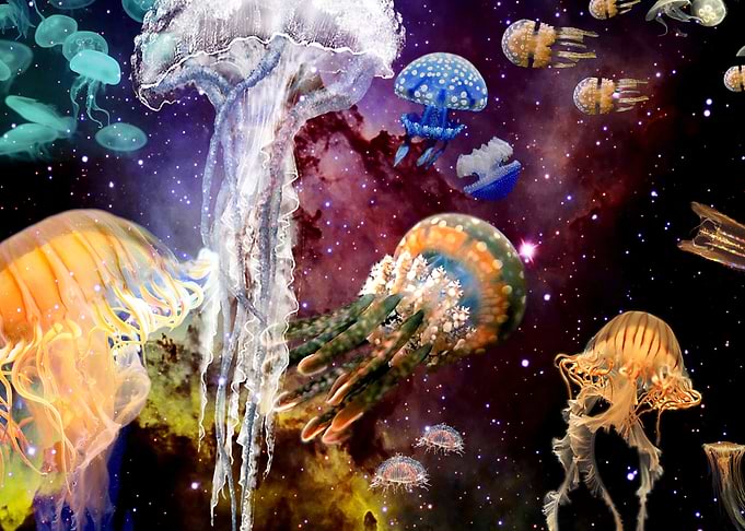 MEDUSAS