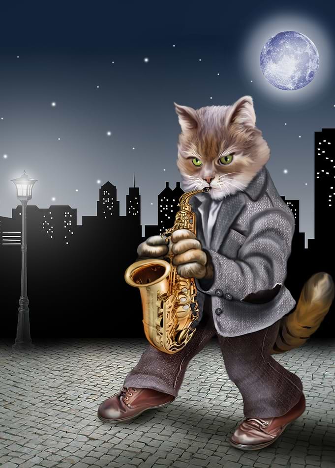 A cat in the night