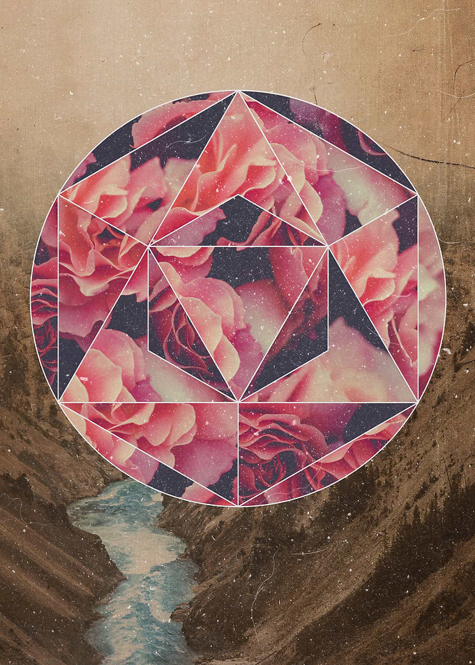 Lonely Rose