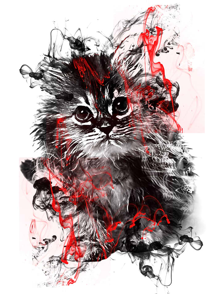 cat 4
