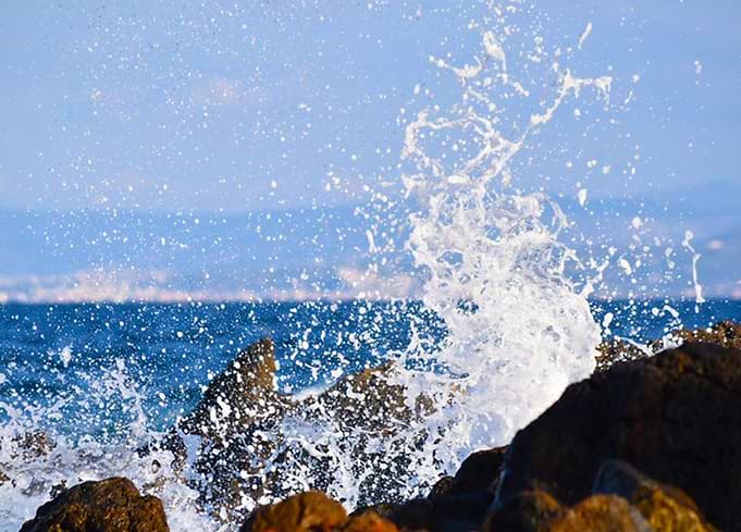 Coastal Surf