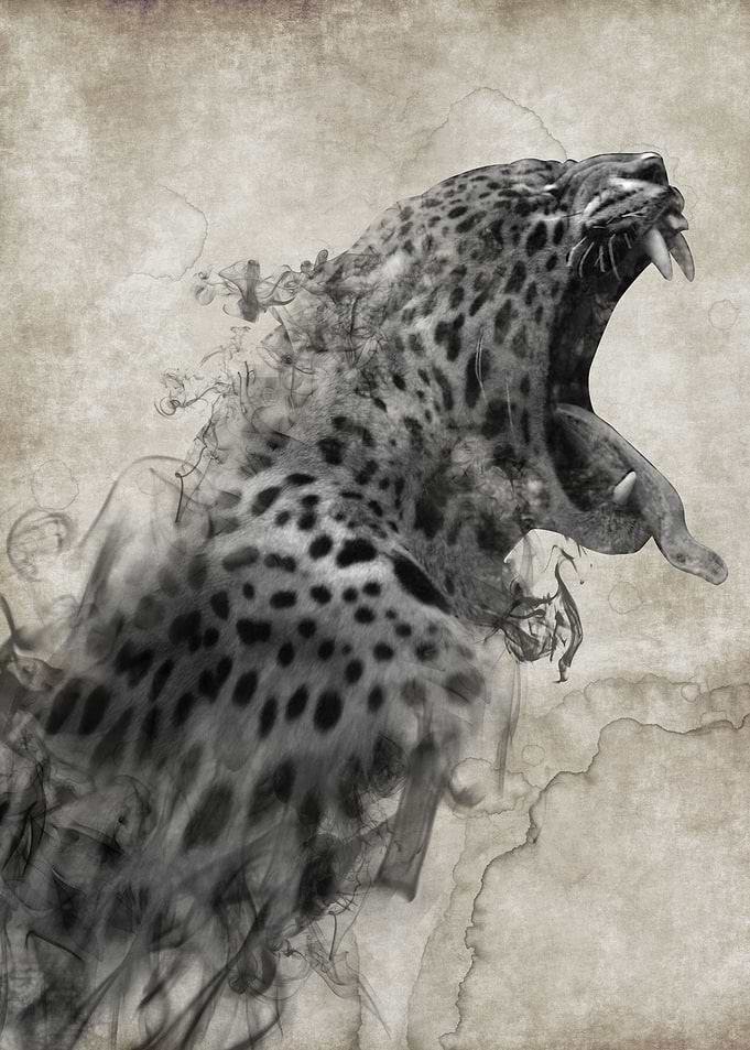 Jaguar