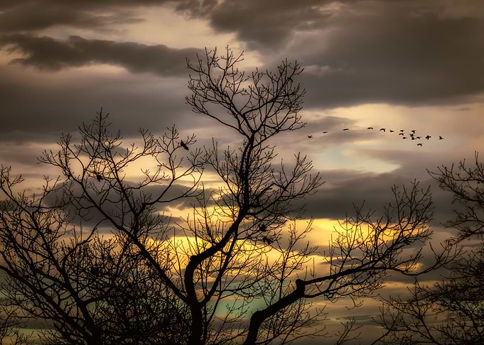 Autumns Eve