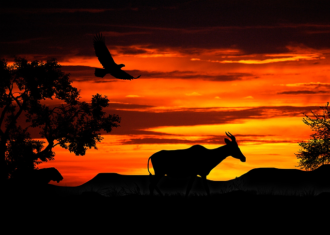 Hunting