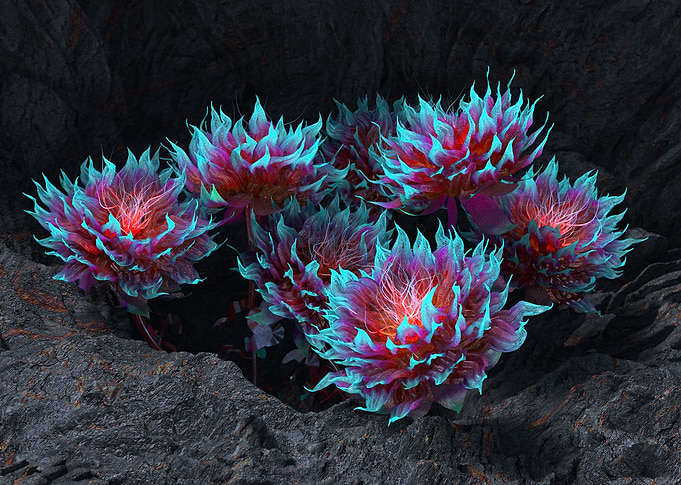 Flora