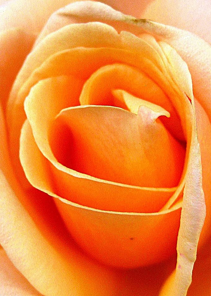 naranja