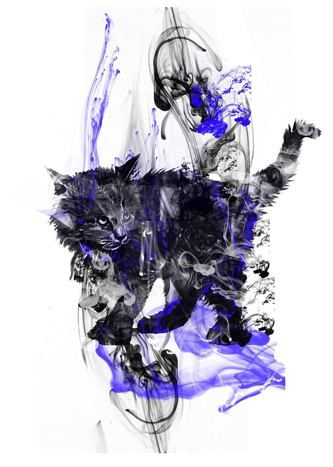 Cat 1