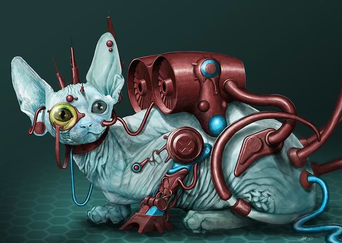 Atomic cat