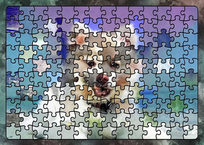 Puzzle puppy