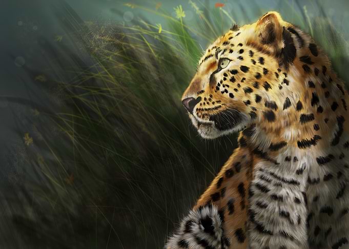 Calm before the hunt