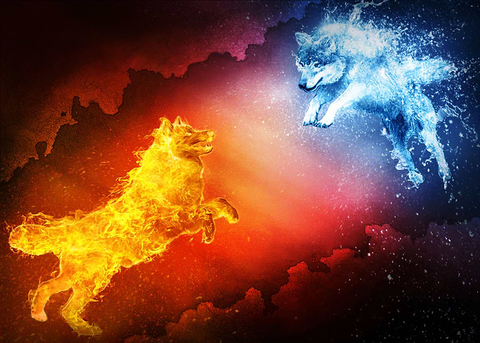 Fire vs Water Wolf