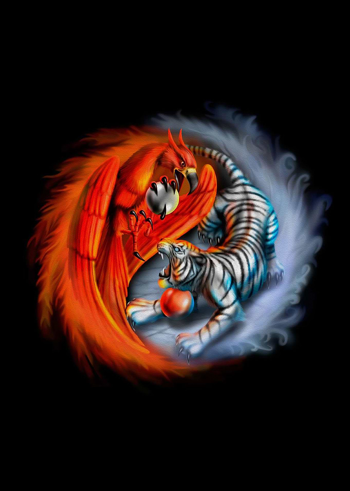 Ying & Yang Concept