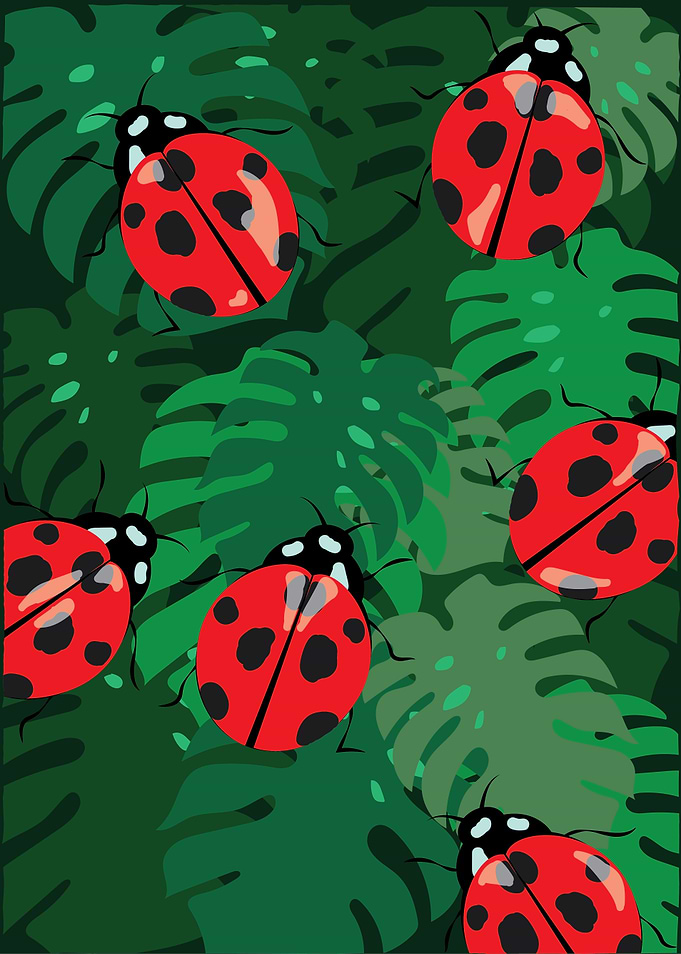 LadyBird