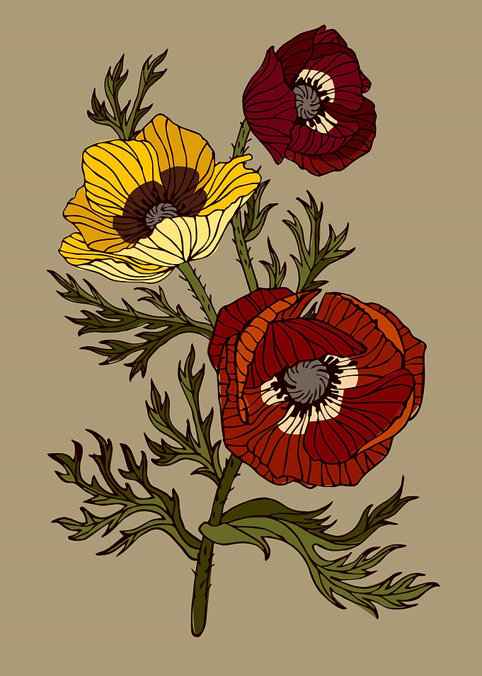 Anemones