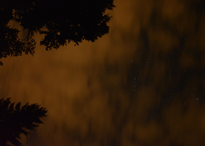 Night View