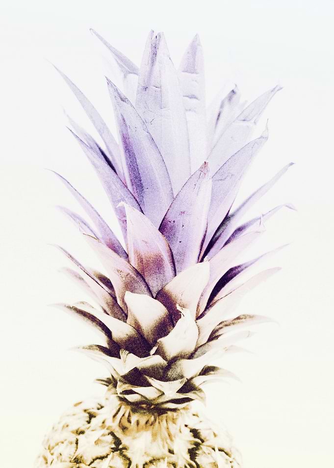 PASTEL PINEAPPLE no3c