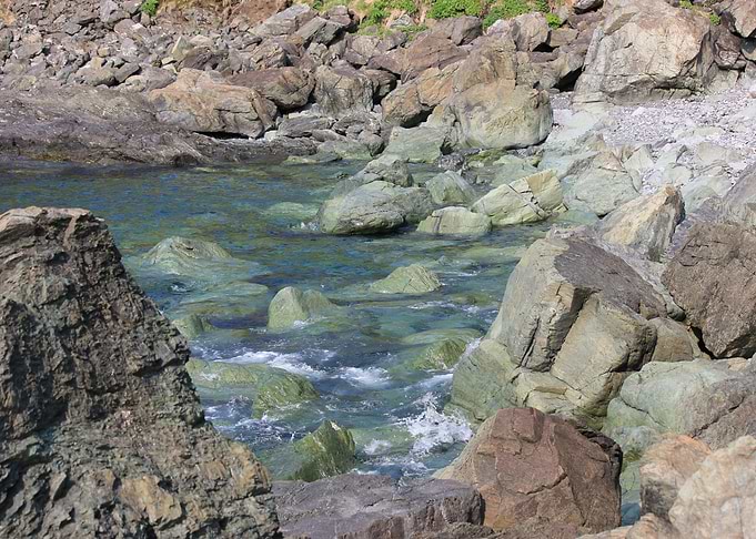 Sea Green Shoreline