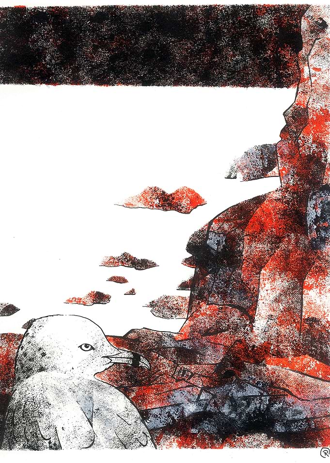 Seagull on rocks