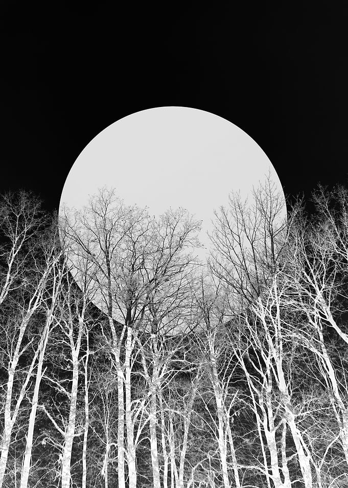 Pale Moon