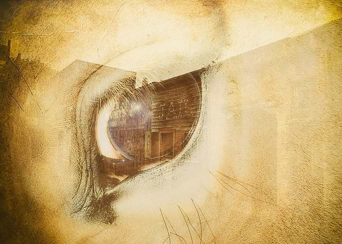Memories of a horse