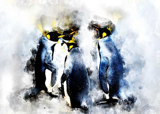 Penguin Family