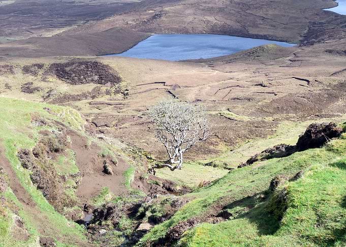 scotland landscape