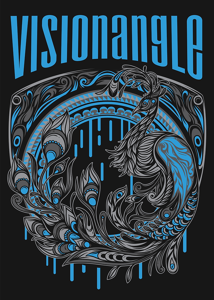 Visionangle