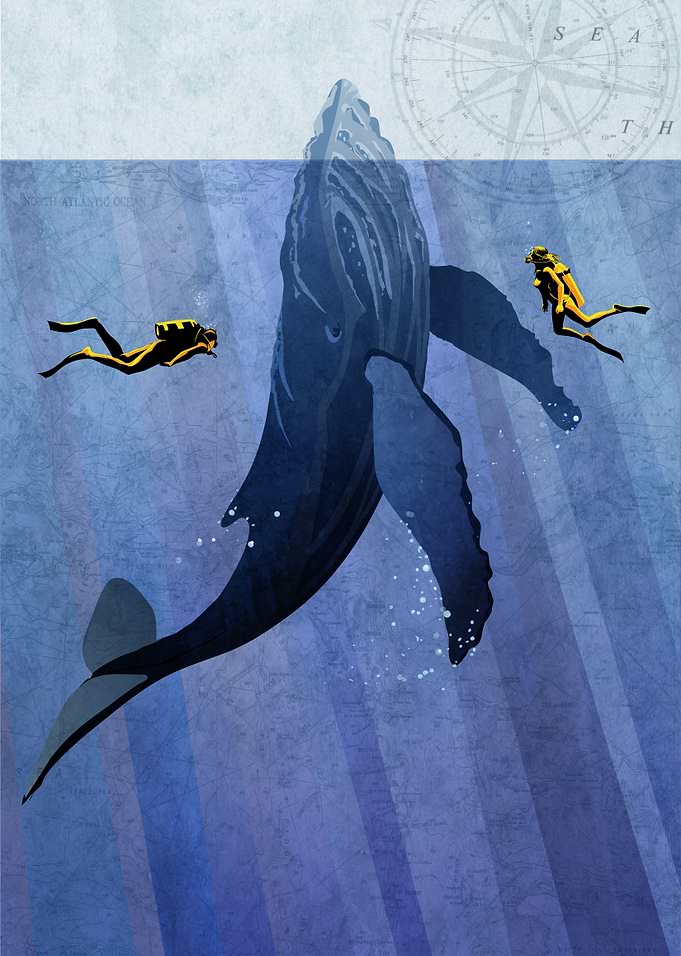 Whale Dive