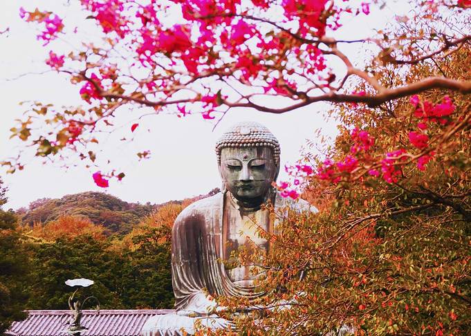 Spiritual vue