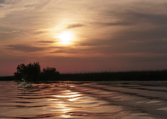 Wavy quiet sunset