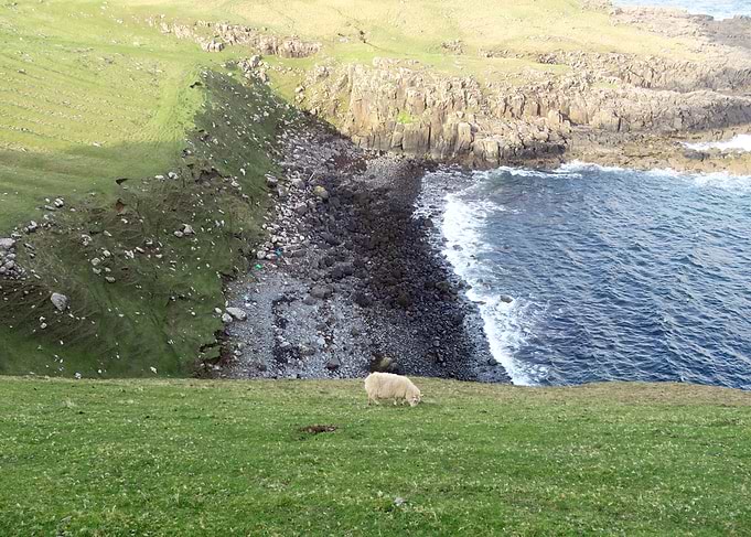 animals scotland