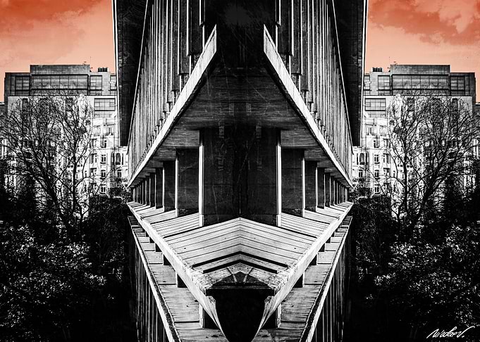 The Ark