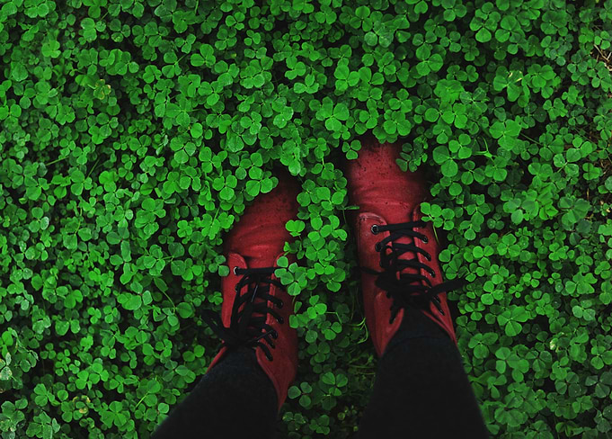 Clover Patch