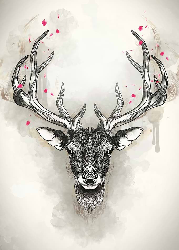 deer