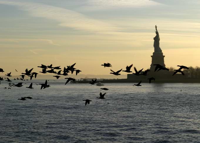 New York 5