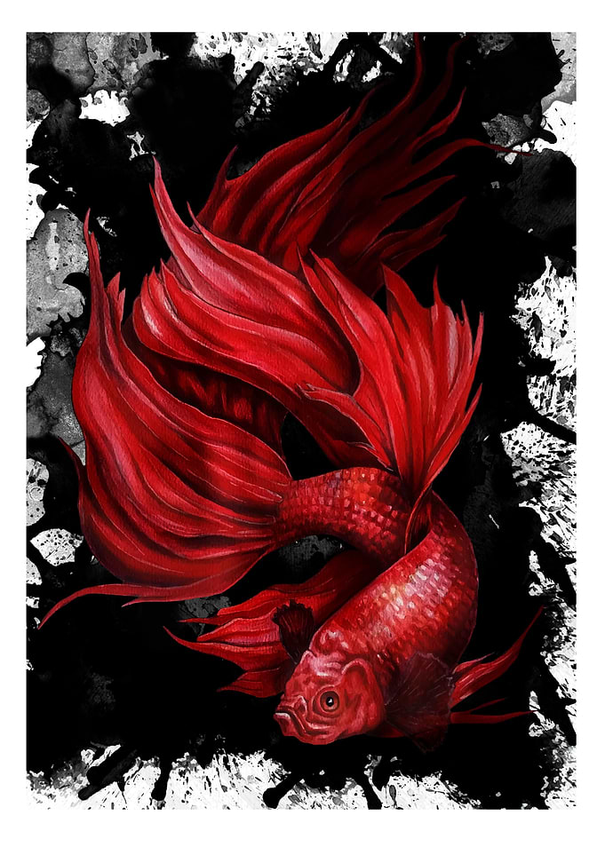 Fighter Fish