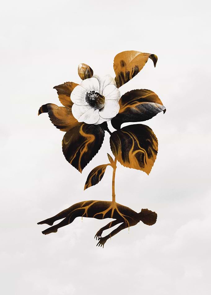 The Fragility of Life