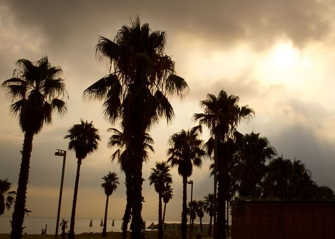 Golden Barceloneta Sunrise