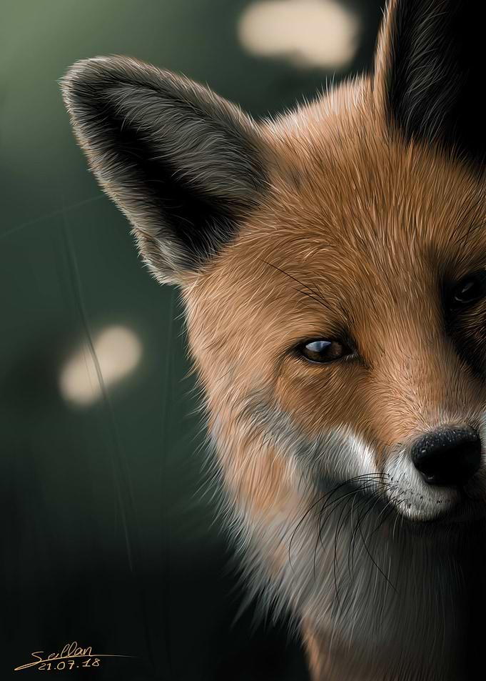 Fox