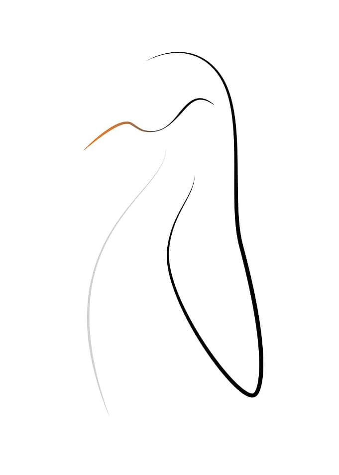Arctic King