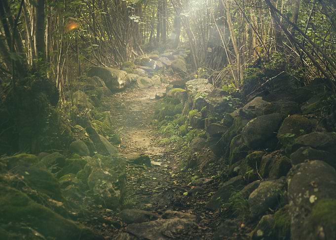 Landscape 10