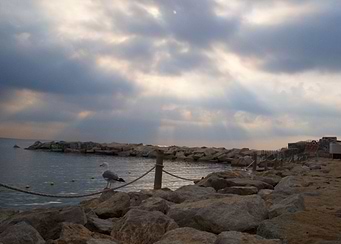 Serene Spanish Sunrise