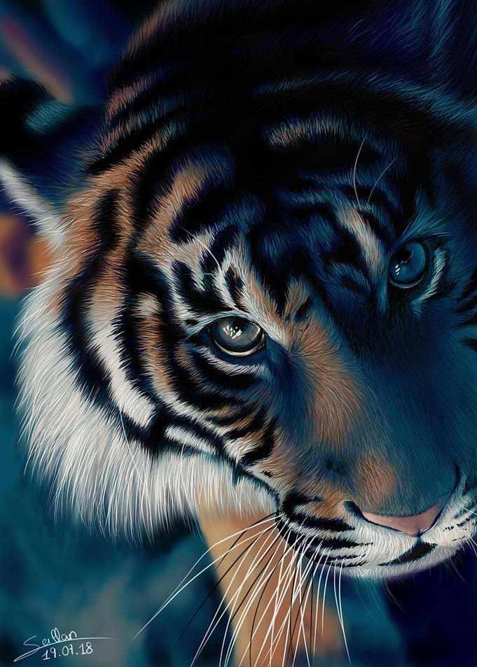 Tigre