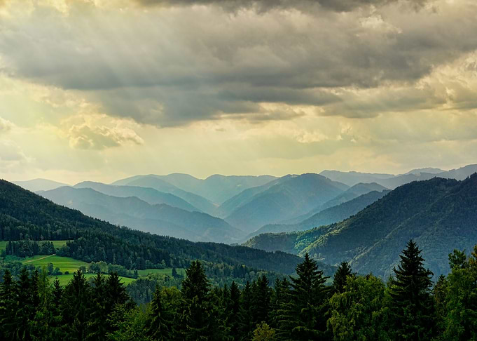 Landscape 1
