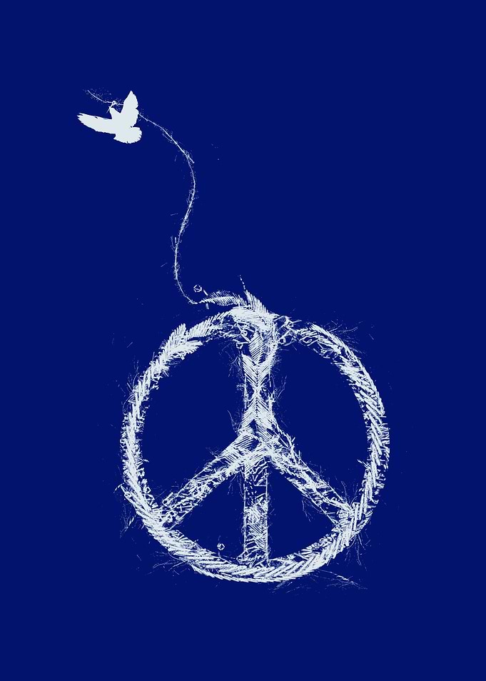 bird sewing peace