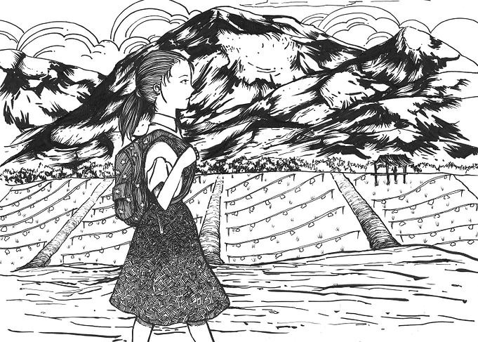 Paddy Field