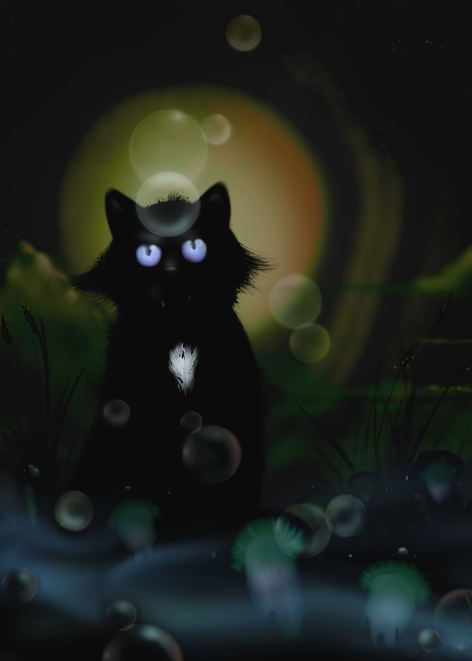 The Cat & Mushroom Meadow