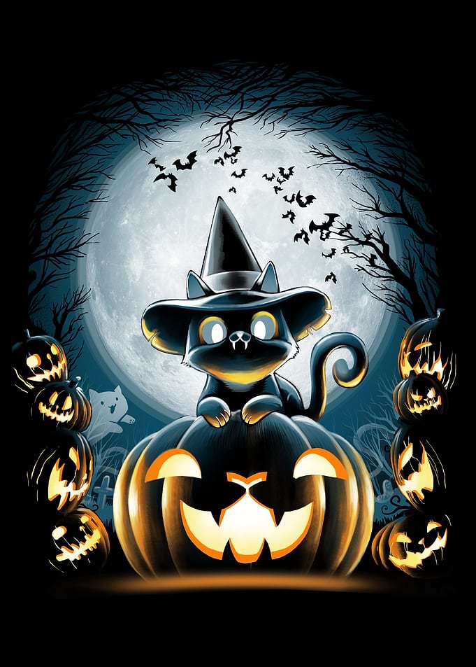 Witch-Cat-Night